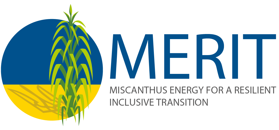 MERIT full color logo
